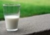 Le lait de chamelle pasteurisé est-il bénéfique ?