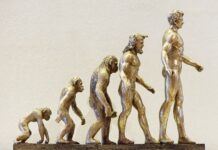 Si Darwin a raison, pourquoi les singes n’ont pas encore évolué?
