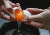 Est-ce que les œufs sont interdits pour les patients ayant un taux de cholestérol élevé ?